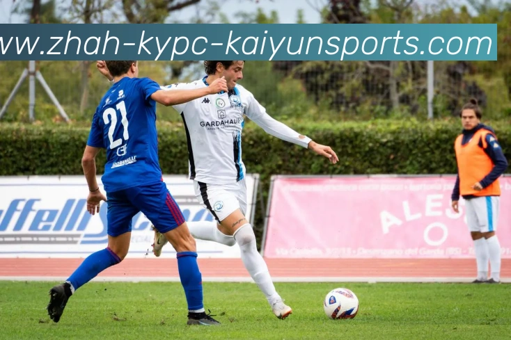 开云体育APP 封面图